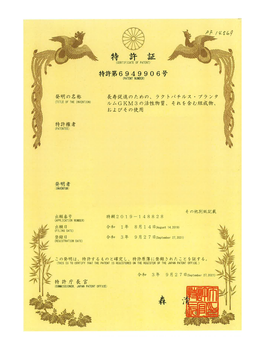 GKM3日本發明專利